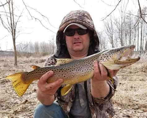 by Will Sirotnak February 16, <b>2023</b> Connecticut Fishing Report. . New york state trout stocking 2023